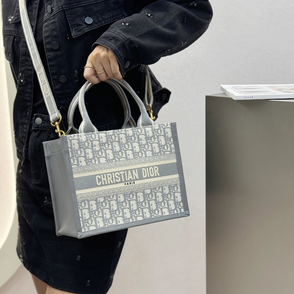 디올 오블리크 북 토트 레더 백 스몰 그레이