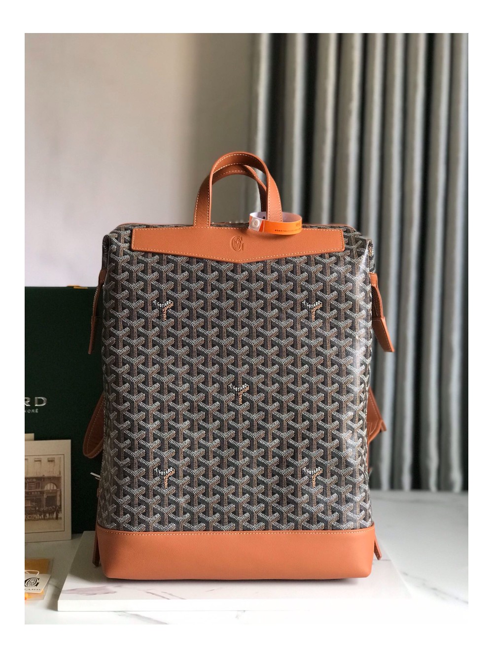 고야드 알팡 백팩